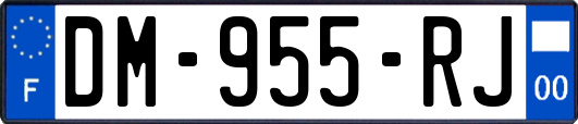 DM-955-RJ