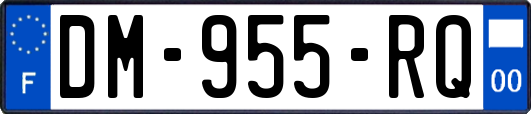 DM-955-RQ
