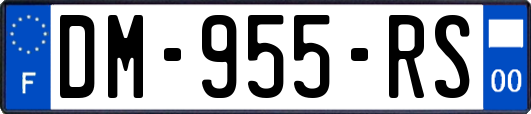 DM-955-RS