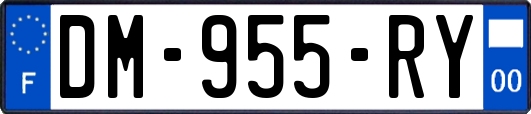 DM-955-RY