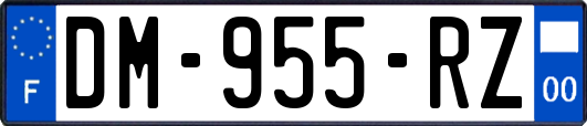 DM-955-RZ