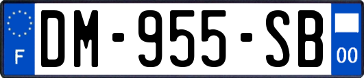 DM-955-SB