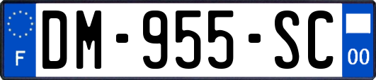 DM-955-SC