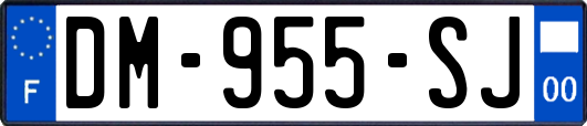 DM-955-SJ