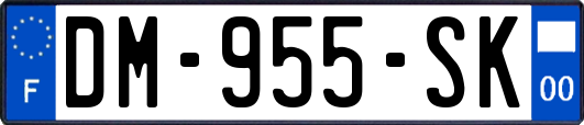 DM-955-SK
