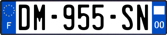 DM-955-SN