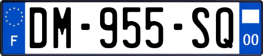 DM-955-SQ