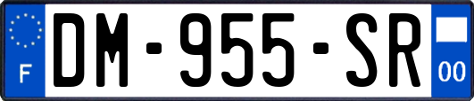 DM-955-SR