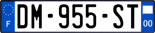DM-955-ST