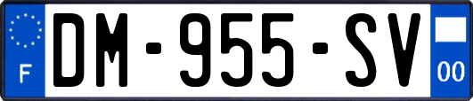 DM-955-SV