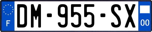 DM-955-SX