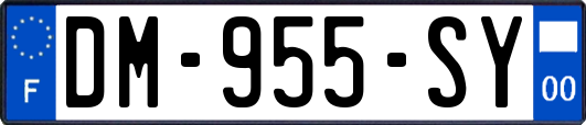 DM-955-SY