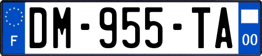 DM-955-TA