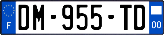 DM-955-TD