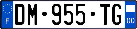 DM-955-TG