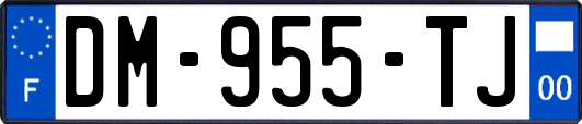 DM-955-TJ