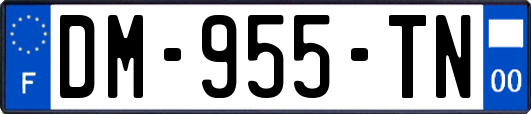 DM-955-TN