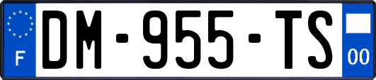 DM-955-TS