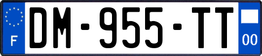 DM-955-TT