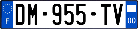 DM-955-TV