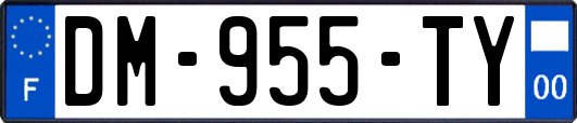DM-955-TY
