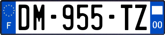 DM-955-TZ