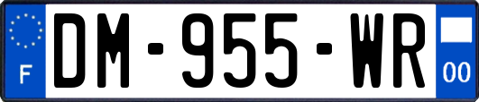 DM-955-WR