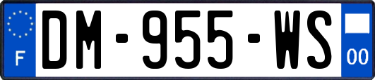 DM-955-WS