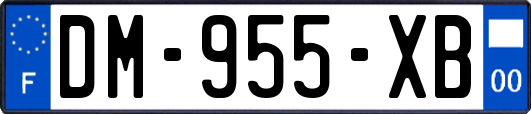 DM-955-XB