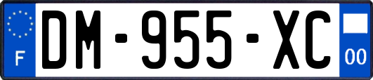 DM-955-XC