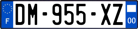 DM-955-XZ