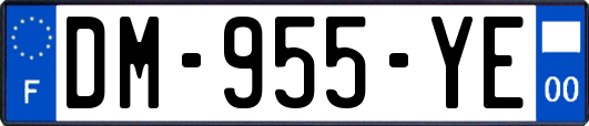 DM-955-YE