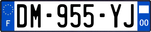 DM-955-YJ