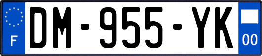 DM-955-YK