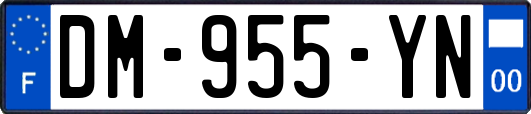 DM-955-YN