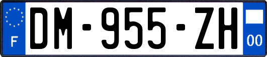 DM-955-ZH