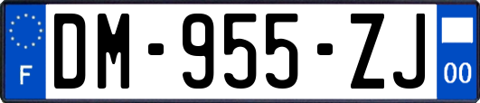 DM-955-ZJ