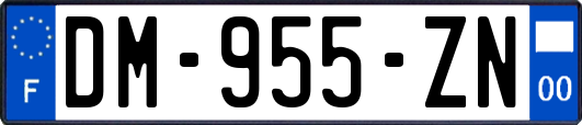 DM-955-ZN