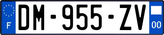 DM-955-ZV