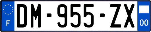 DM-955-ZX