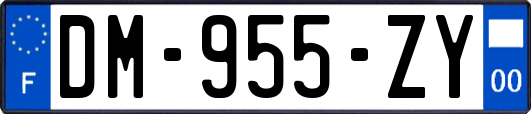 DM-955-ZY