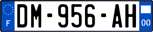 DM-956-AH