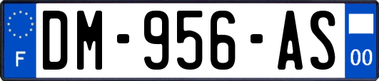 DM-956-AS