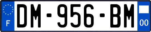 DM-956-BM