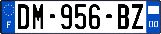 DM-956-BZ