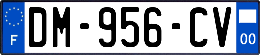 DM-956-CV