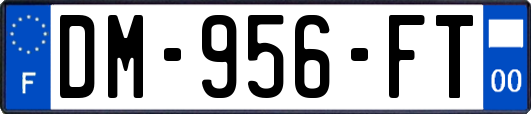 DM-956-FT