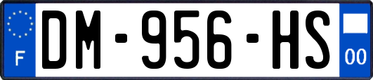 DM-956-HS