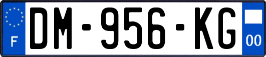 DM-956-KG