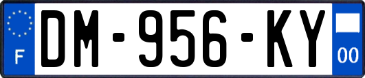 DM-956-KY